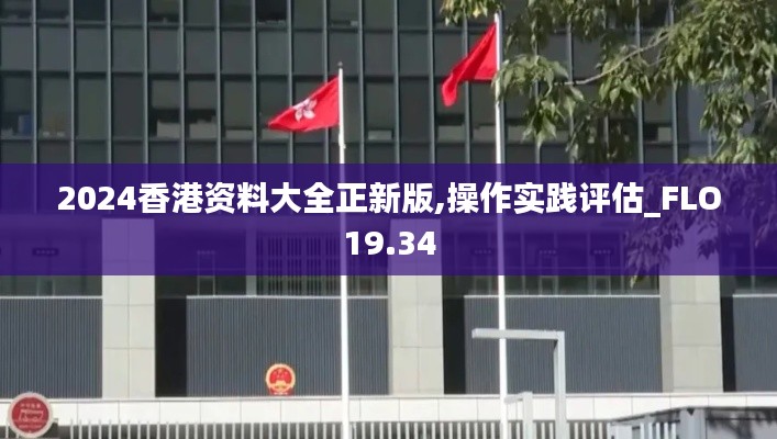 2024香港资料大全正新版,操作实践评估_FLO19.34
