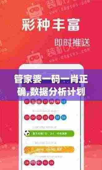 管家婆一码一肖正确,数据分析计划_XKR19.70