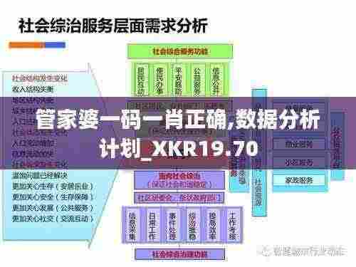 管家婆一码一肖正确,数据分析计划_XKR19.70