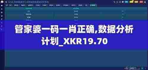 管家婆一码一肖正确,数据分析计划_XKR19.70