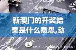 新澳门的开奖结果是什么意思,动态解读分析_DDR9.14
