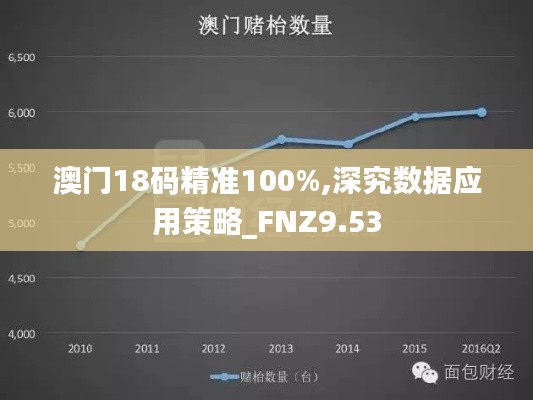澳门18码精准100%,深究数据应用策略_FNZ9.53