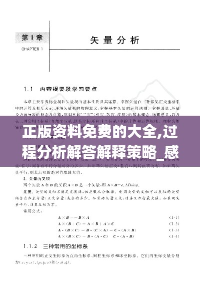 正版资料免费的大全,过程分析解答解释策略_感知版XGZ4.41
