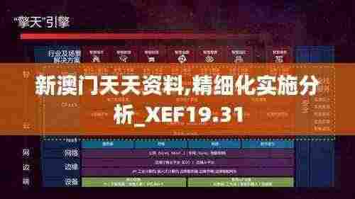新澳门天天资料,精细化实施分析_XEF19.31