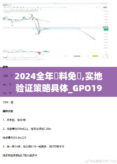 2024全年資料免費,实地验证策略具体_GPO19.79