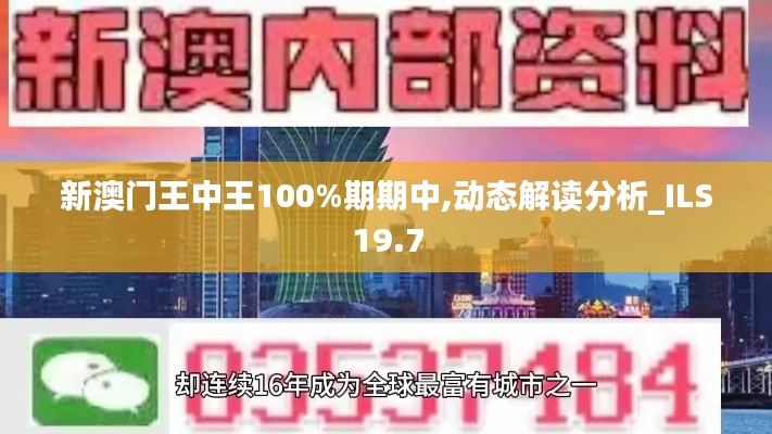 新澳门王中王100%期期中,动态解读分析_ILS19.7