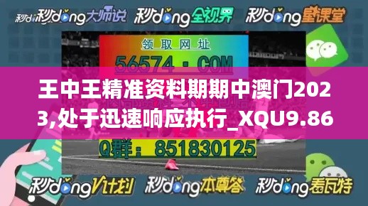 王中王精准资料期期中澳门2023,处于迅速响应执行_XQU9.86
