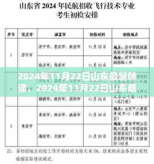 2024年11月22日山东最新辟谣,2024年11月22日山东最新辟谣观点论述