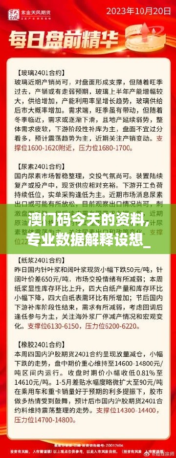 澳门码今天的资料,专业数据解释设想_MJF19.37