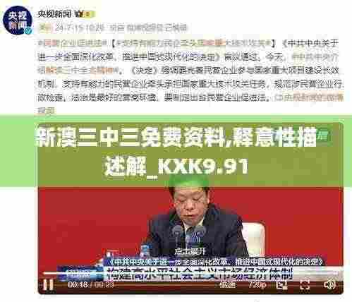 新澳三中三免费资料,释意性描述解_KXK9.91