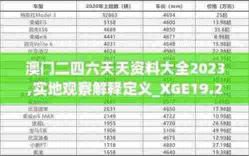 澳门二四六天天资料大全2023,实地观察解释定义_XGE19.21