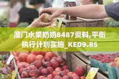 澳门水果奶奶8487资料,平衡执行计划实施_KED9.85