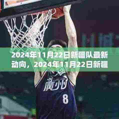 新疆队最新动向及其多方观点探析,2024年11月22日的影响