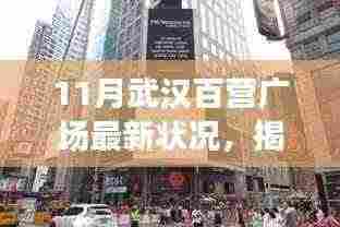 11月武汉百营广场最新状况,揭秘十一月武汉百营广场,一场自然美景的心灵之旅,启程寻找内心的宁静与平和
