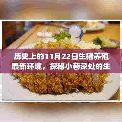 探秘小巷深处的生猪养殖旧时光馆,11月22日的历史与新生猪环境之旅揭秘