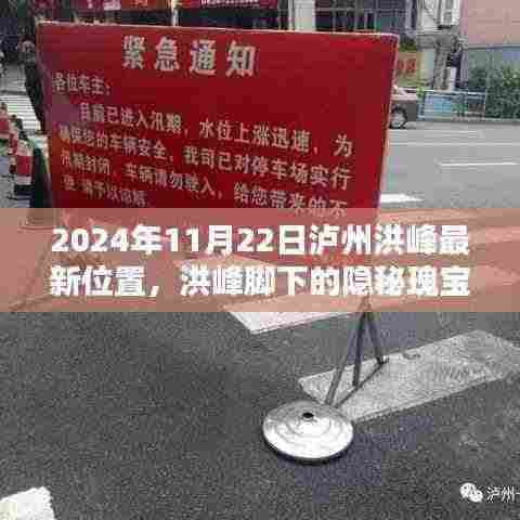 泸州洪峰最新动态揭秘,隐秘瑰宝与小巷特色小店探秘之旅