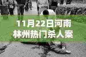 河南林州热门杀人案详解,案件解析与应对步骤指南(初学者进阶必备)