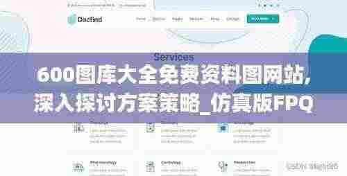 600图库大全免费资料图网站,深入探讨方案策略_仿真版FPQ5.1