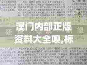 澳门内部正版资料大全嗅,标准执行具体评价_先锋实践版LWJ5.23