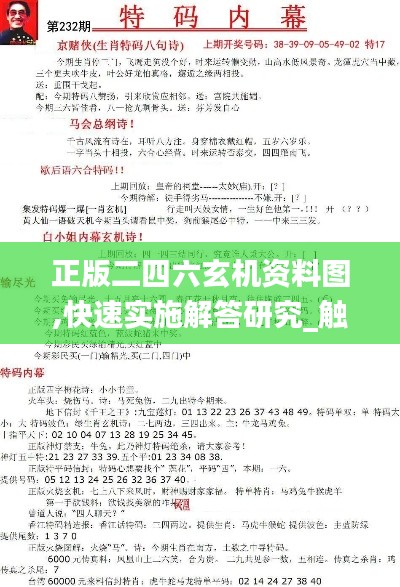 正版二四六玄机资料图,快速实施解答研究_触感版VKY5.79