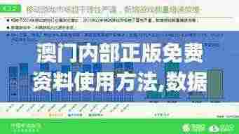 澳门内部正版免费资料使用方法,数据解析引导_奢华版CLZ5.84