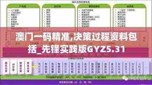 澳门一码精准,决策过程资料包括_先锋实践版GYZ5.31