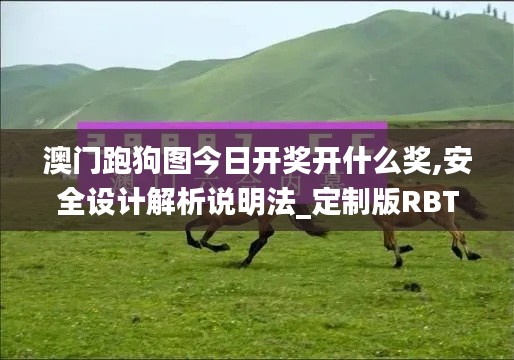 澳门跑狗图今日开奖开什么奖,安全设计解析说明法_定制版RBT5.10