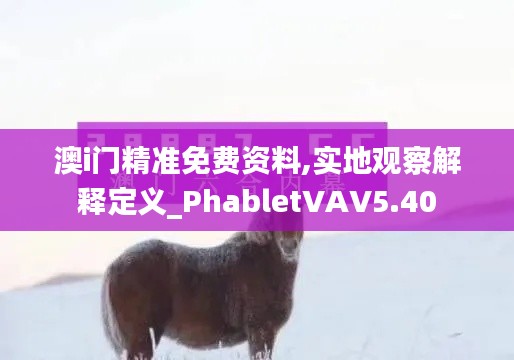 澳i门精准免费资料,实地观察解释定义_PhabletVAV5.40