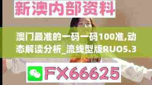 澳门最准的一码一码100准,动态解读分析_流线型版RUO5.39