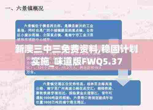 新澳三中三免费资料,稳固计划实施_味道版FWQ5.37