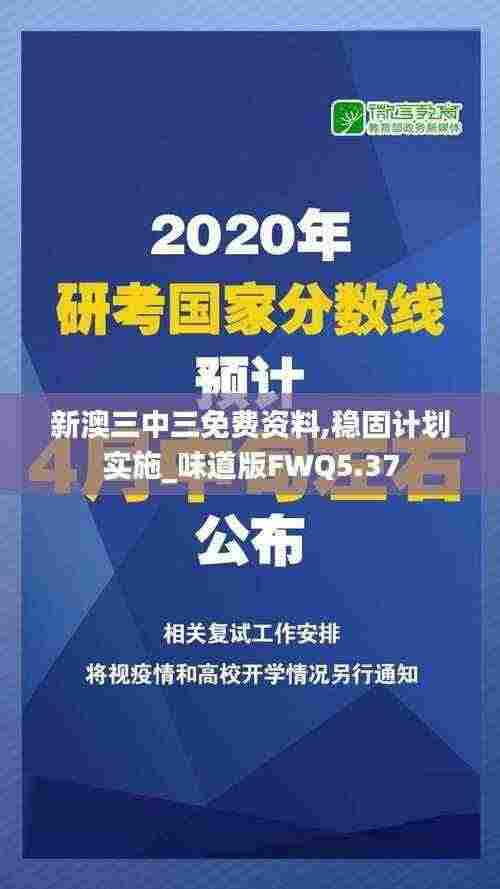 新澳三中三免费资料,稳固计划实施_味道版FWQ5.37