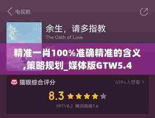 精准一肖100%准确精准的含义,策略规划_媒体版GTW5.4