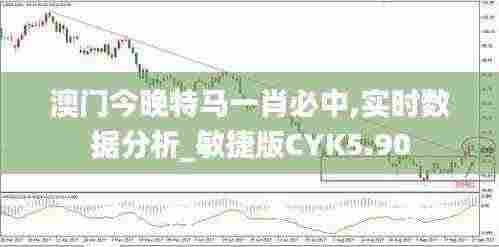 澳门今晚特马一肖必中,实时数据分析_敏捷版CYK5.90