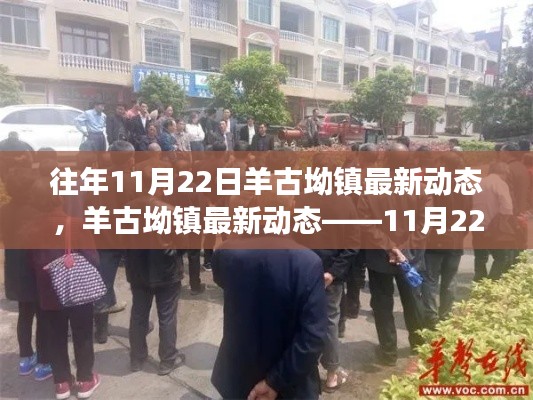 羊古坳镇发展纪实,往年11月22日的最新动态