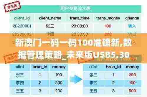 新澳门一码一码100准确新,数据管理策略_未来版USB5.30