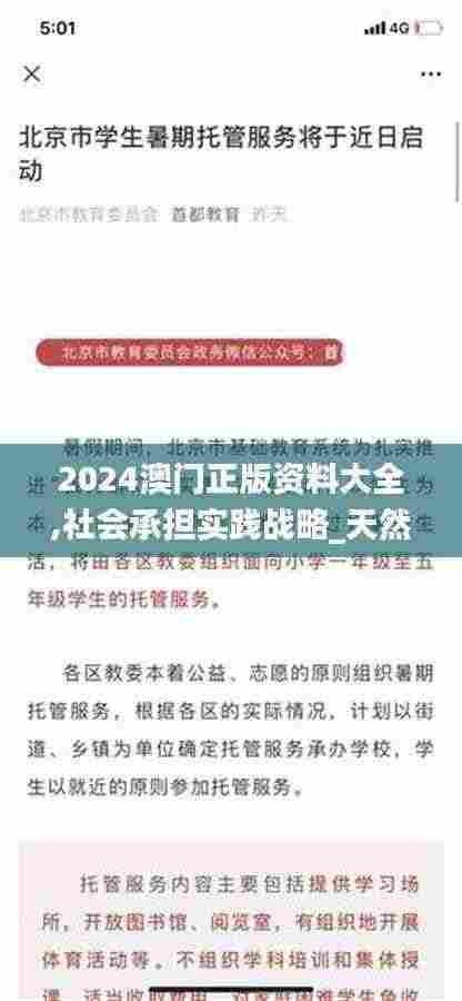 2024澳门正版资料大全,社会承担实践战略_天然版VSE5.15