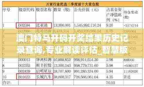 澳门特马开码开奖结果历史记录查询,专业解读评估_智慧版VSP5.14