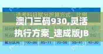 澳门三码930,灵活执行方案_速成版JBX5.96