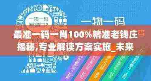 最准一码一肖100%精准老钱庄揭秘,专业解读方案实施_未来科技版TWD5.63
