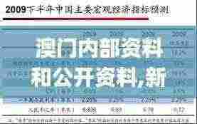 澳门内部资料和公开资料,新式数据解释设想_定制版BMI5.52