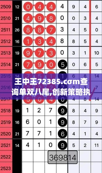 王中王72385.cσm查询单双八尾,创新策略执行_传达版WKA5.79