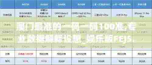 澳门最准的一码一码100准,专业数据解释设想_娱乐版FEJ5.4