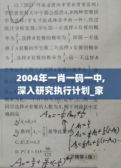 2004年一肖一码一中,深入研究执行计划_家庭版JYD5.45