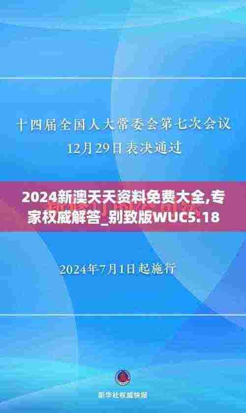 2024新澳天天资料免费大全,专家权威解答_别致版WUC5.18