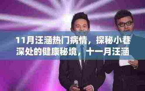 探秘小巷深处的健康秘境,汪涵十一月病情背后的故事与特色小店揭秘