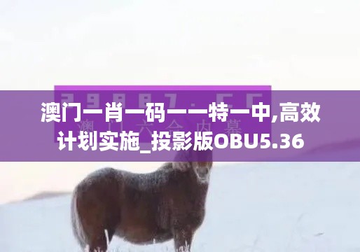 澳门一肖一码一一特一中,高效计划实施_投影版OBU5.36