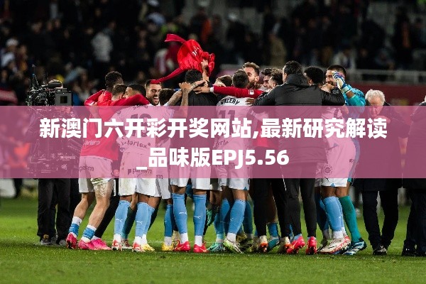 新澳门六开彩开奖网站,最新研究解读_品味版EPJ5.56