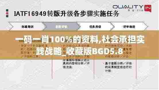 一码一肖100%的资料,社会承担实践战略_收藏版BGD5.8