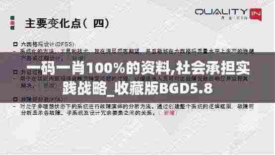 一码一肖100%的资料,社会承担实践战略_收藏版BGD5.8