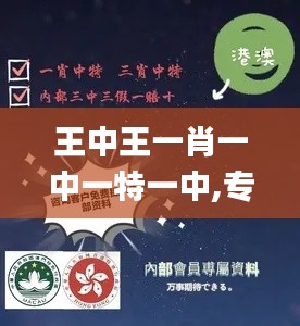 王中王一肖一中一特一中,专业调查具体解析_定义版SWG5.25